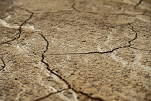 Close-up view of dry, cracked earth texture with intricate patterns.