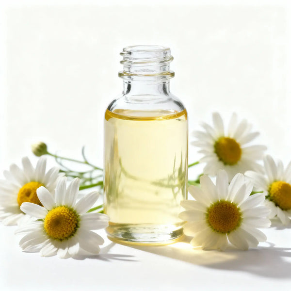 Chamomile Extract (Flower)