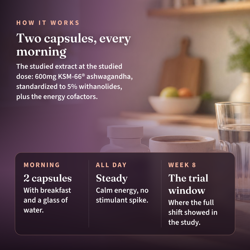 How it works: two capsules every morning, the studied extract at the studied dose