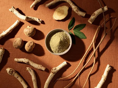 Maca, Panax ginseng and shatavari roots