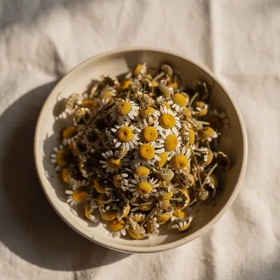Dried chamomile flowers