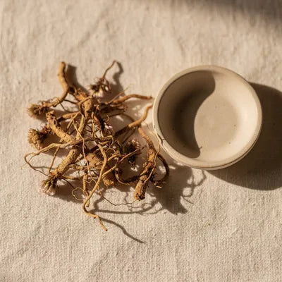 Dried valerian root